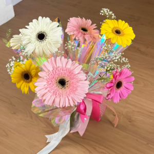 Single Gerbera Holo