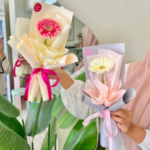 Cutesy Gerbera