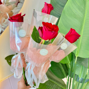Single Rose