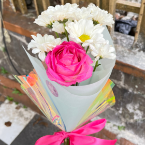 Astero Rose
