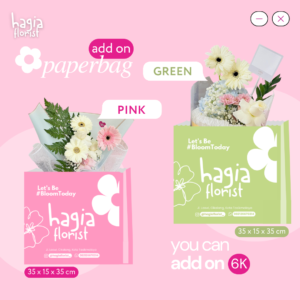 Paper Bag Hagia